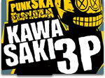 kawasaki 3p