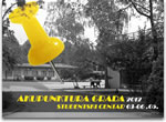 Akupunktura grada 2012 Akupunktura grada 2012