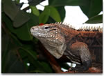 zoo vrt zagreb zoo vrt zagreb