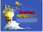 monty python`s spamalot monty python`s spamalot