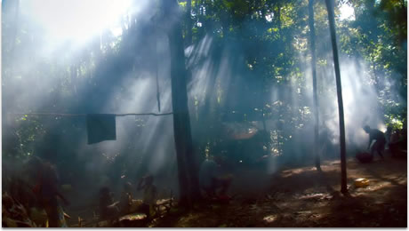 Song from the Forest - Michael Obert Song from the Forest - Michael Obert