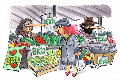 karikatura / roko idžojtić