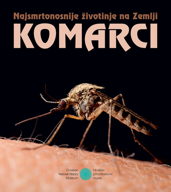 komarci / najsmrtonosnije životinje na zemlji
