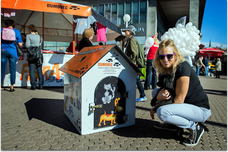 azil za pse dumovec / udomljavanje je fora