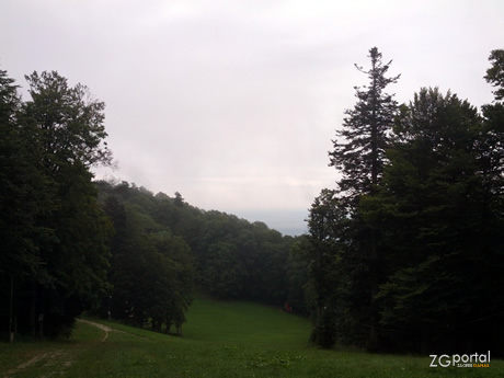 činovnička staza / sljeme, medvednica, zagreb činovnička staza / sljeme, medvednica, zagreb