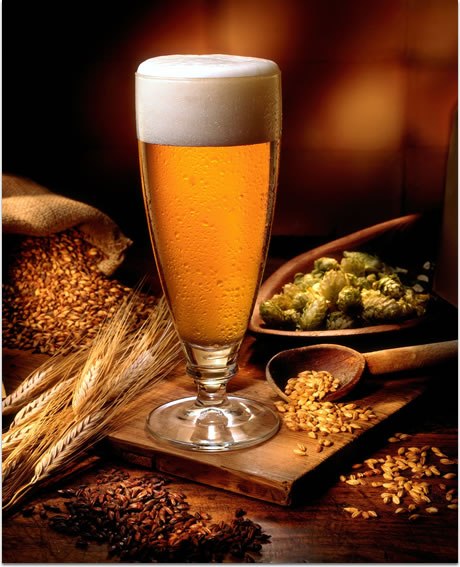 pivo - prirodan i biološki uravnotežen proizvod pivo - prirodan i biološki uravnotežen proizvod