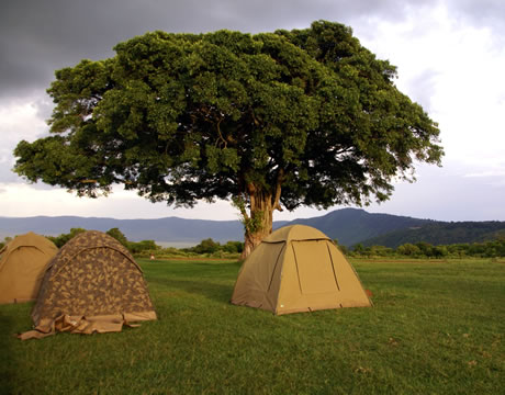 kampiranje u prirodi / outdoor camping