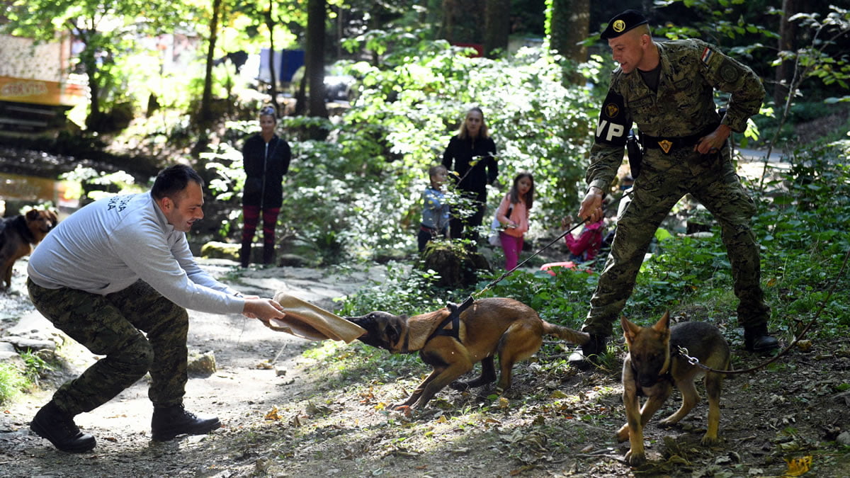 PET TREKKING 2019. / VOJNO-POLICIJSKI PSI