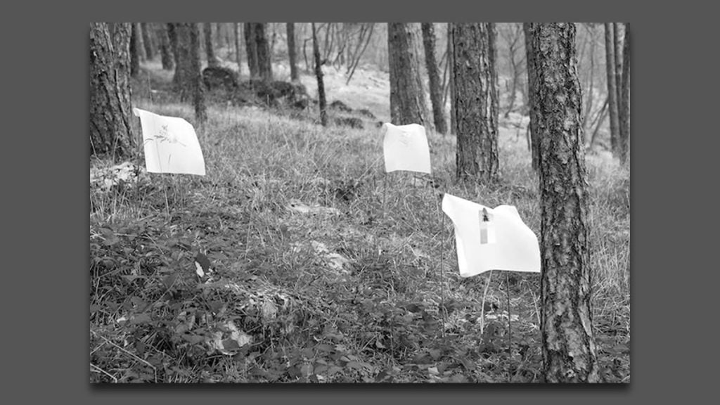 petra mrša | izložba "killing, arranging, walking" | galerija spot zagreb | 2019.