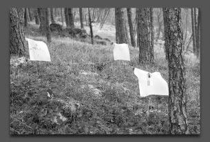 petra mrša | izložba "killing, arranging, walking" | galerija spot zagreb | 2019.