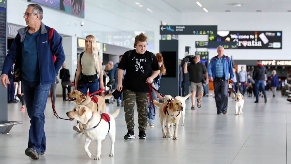 centar za rehabilitaciju pasa "silver" / zračna luka franjo tuđman zagreb