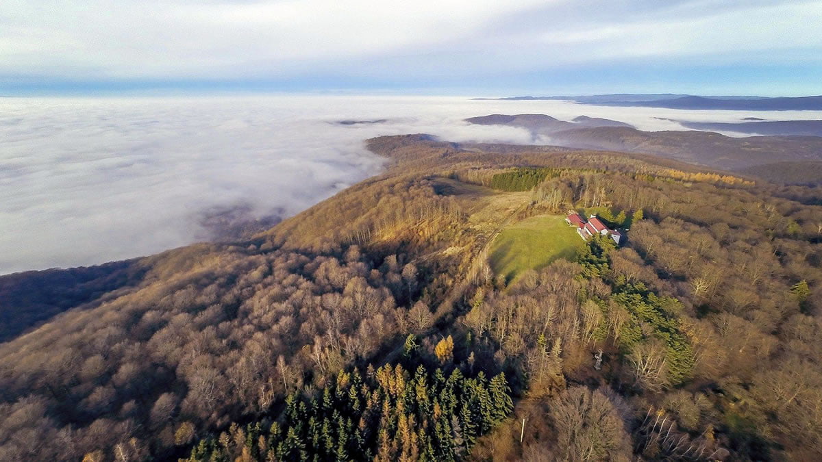 vrh omanovac - psunj - hrvatska | 2019.