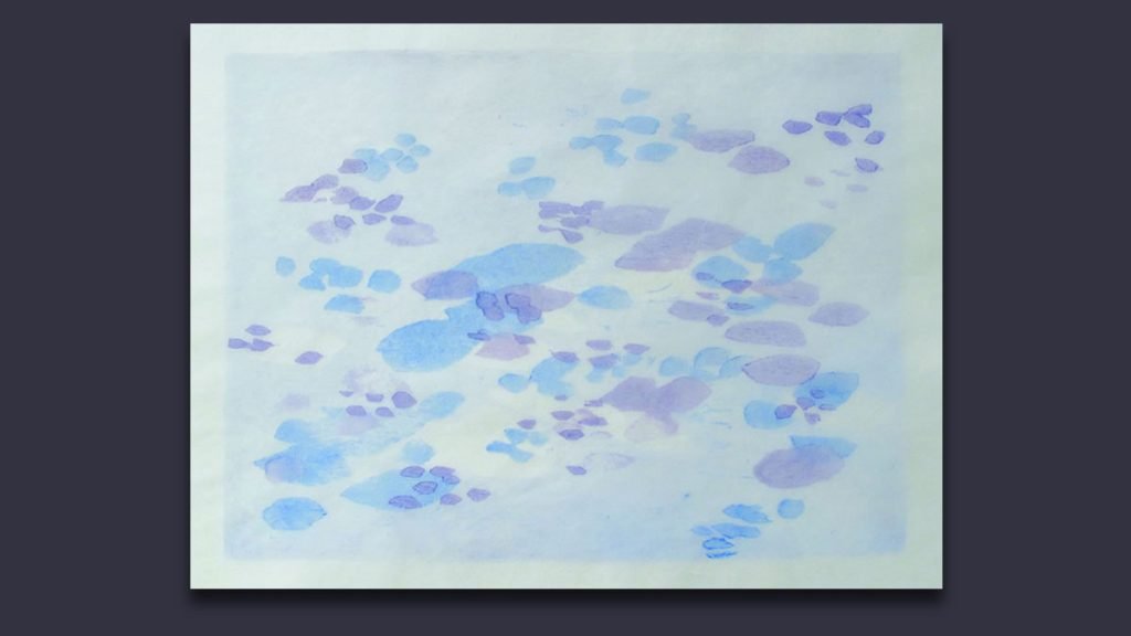 tihana karlović | izložba "oblak" | galerija zilik karlovac | 2019.