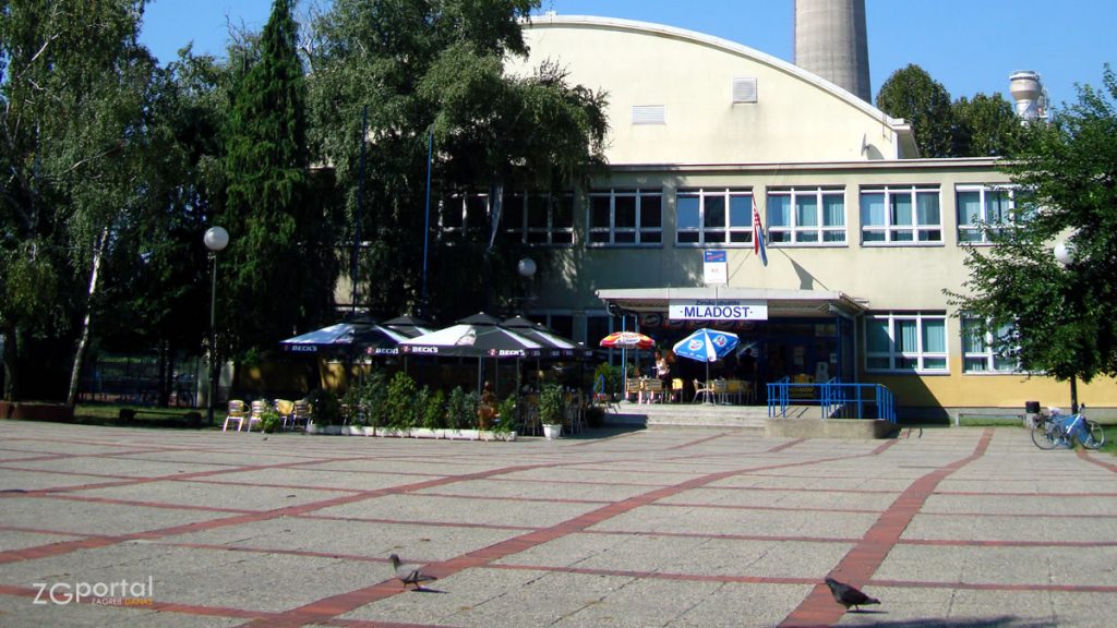 zagrebački golubovi | zimsko plivalište mladost - trešnjevka - zagreb | 2019.