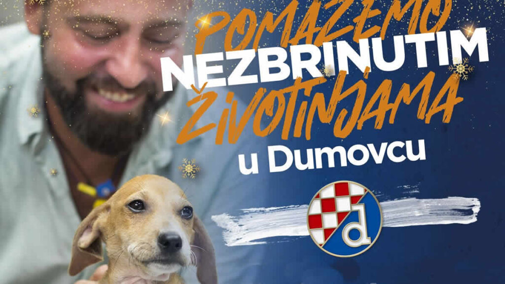 advent u zagrebu 2019 | ribafish & dživo | dinamova čarolija