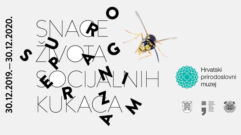izložba "superorganizam - snaga života socijalnih kukaca"| hrvatski prirodoslovni muzej zagreb | 2019.