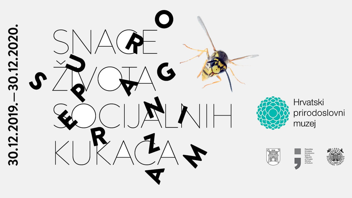 Izložba "Superorganizam - snaga života socijalnih kukaca" - Hrvatski prirodoslovni muzej 2019