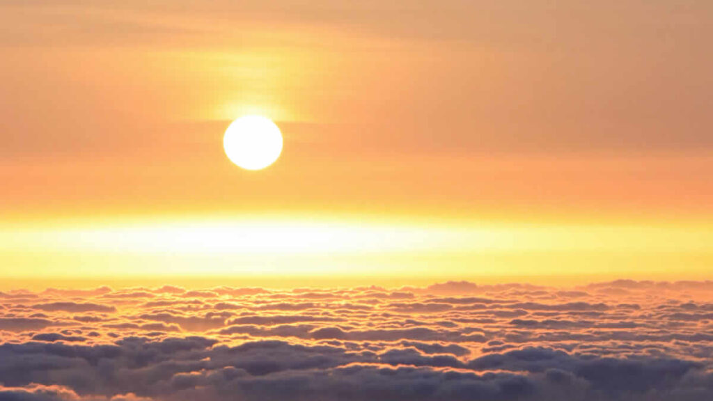 sunce | 2020.