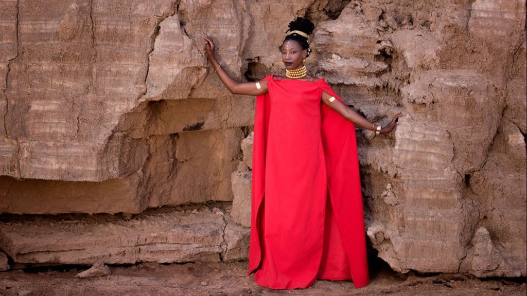 fatoumata diawara | foto: aida muluneh | 2020.