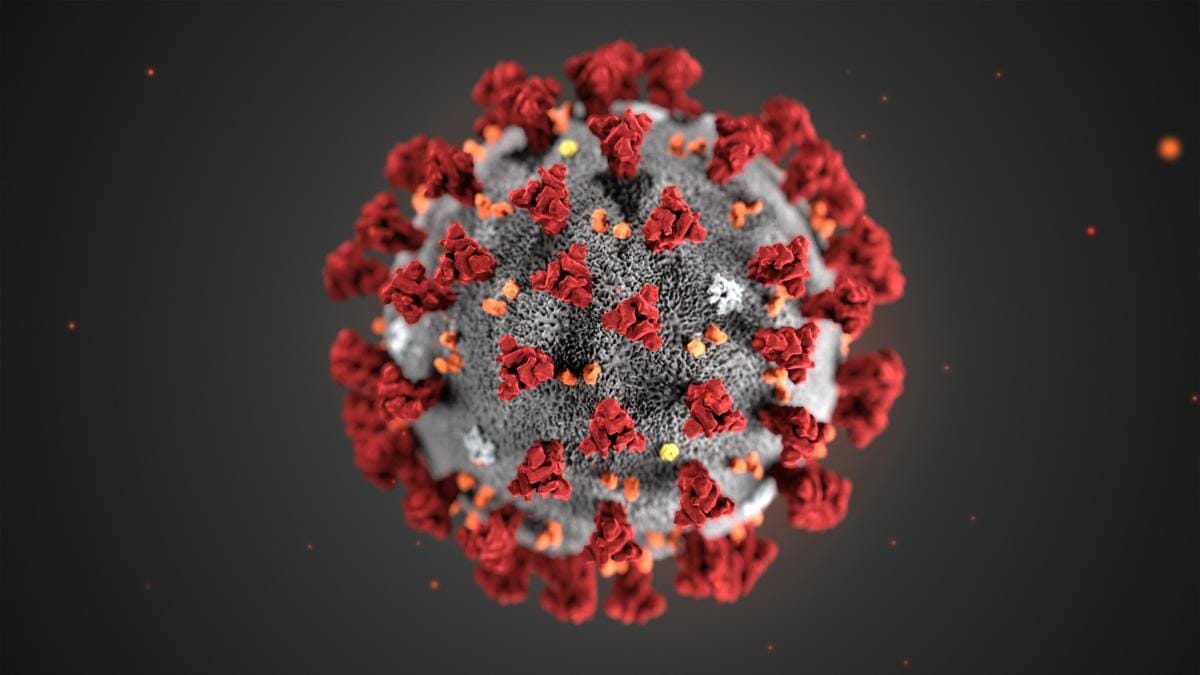 koronavirus | covid-19 | sars-cov-2