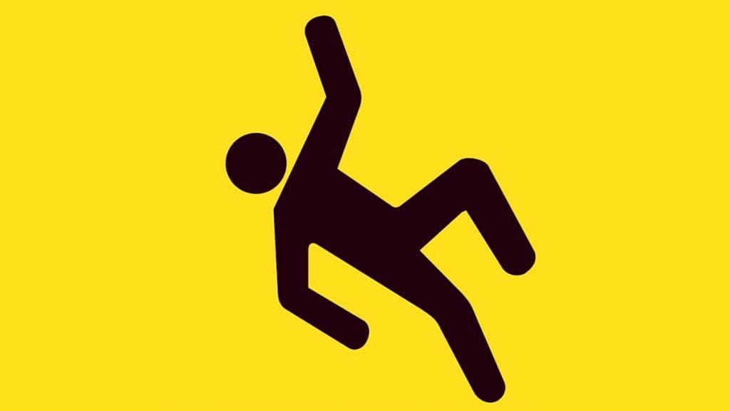 mokri nenad | logo | 2020.