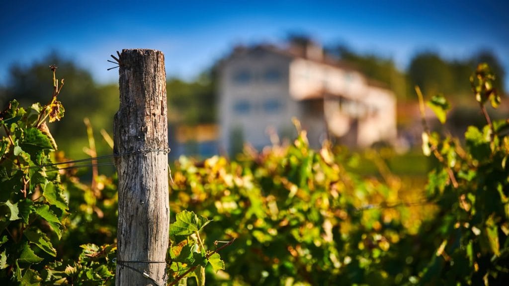 vinarija kabola | istra hrvatska | 2019.