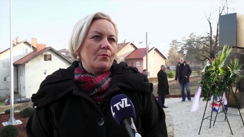 nadica žužak / sdp zagrebačka županija / 2020.