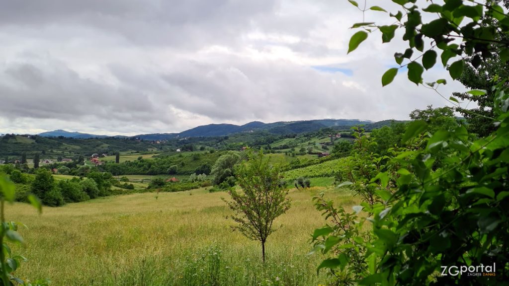 plešivica - zagrebačka županija | foto: ZGportal | lipanj 2020.