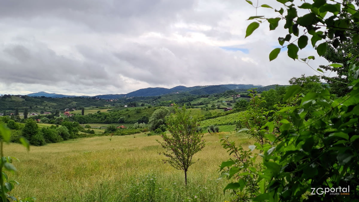 plešivica - zagrebačka županija :: foto: ZGportal / lipanj 2020.