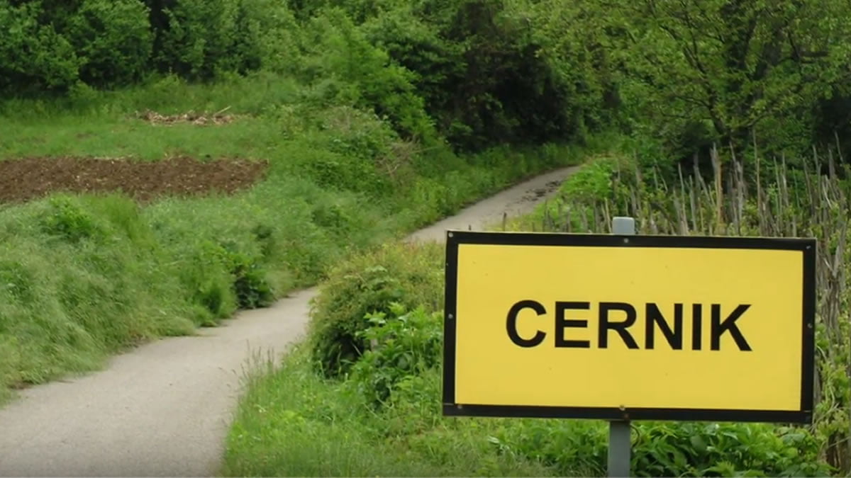 cernik, žumberak - 2020