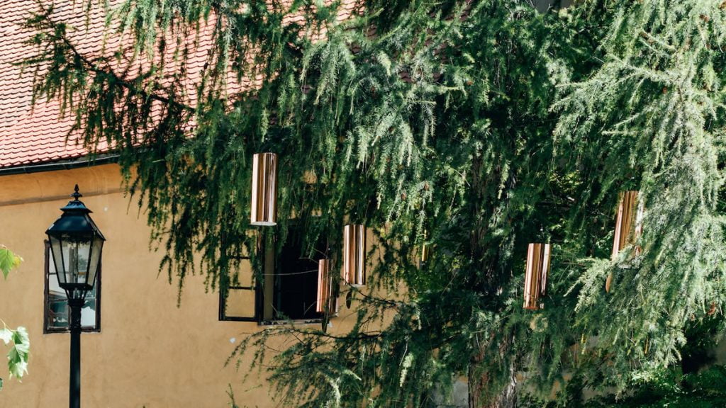 okolo 2020 | singing forest - ida blažičko i alex brajković | park bele iv - gornji grad - zagreb