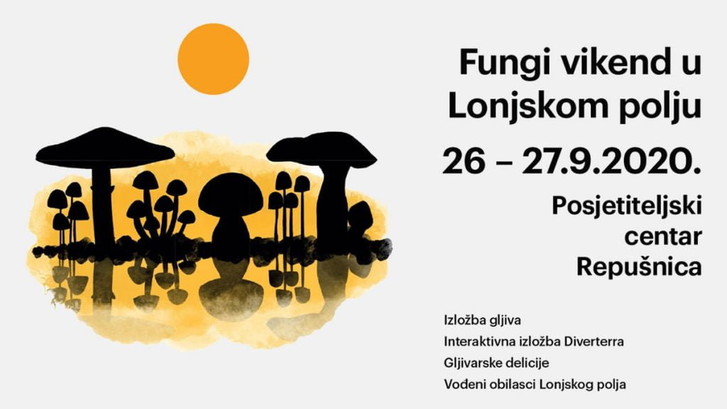 fungi vikend u lonjskom polju | repušnica | 2020.