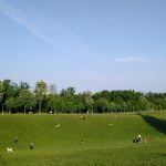 park-šuma cmrok - gornji grad - zagreb | travanj 2020.