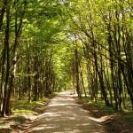 park-šuma maksimir, zagreb | srpanj 2014.