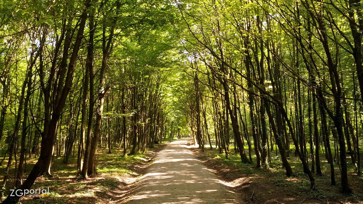 park-šuma maksimir, zagreb | srpanj 2014.