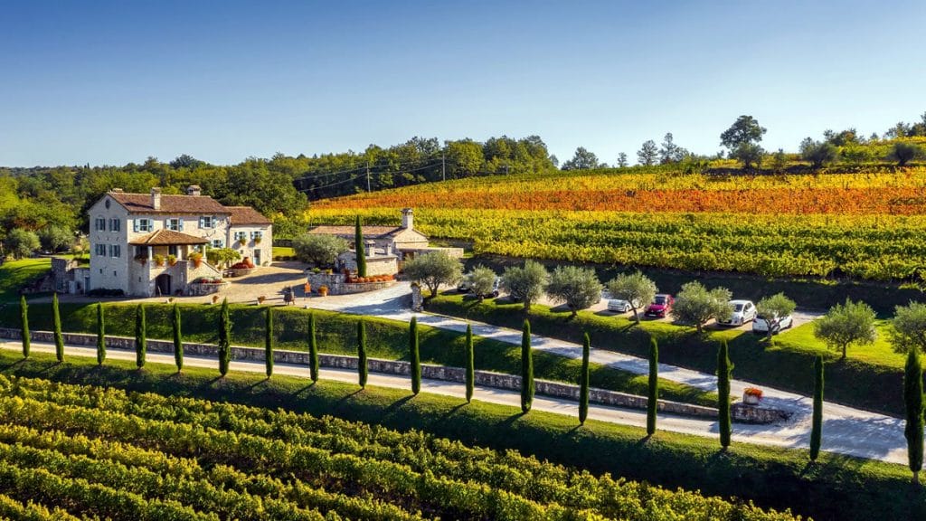 kabola winery 2020