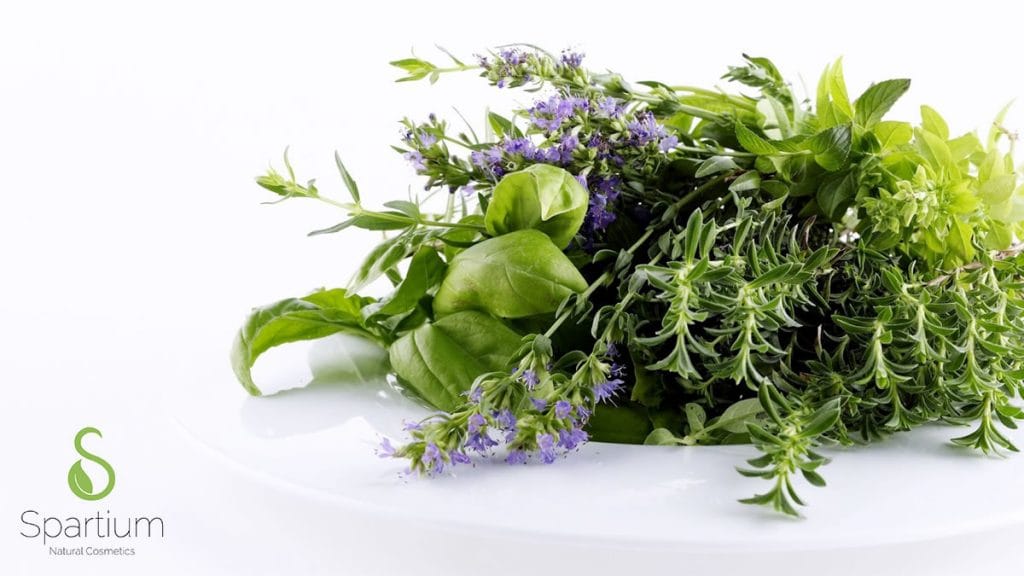 spartium natural cosmetics | 2020.