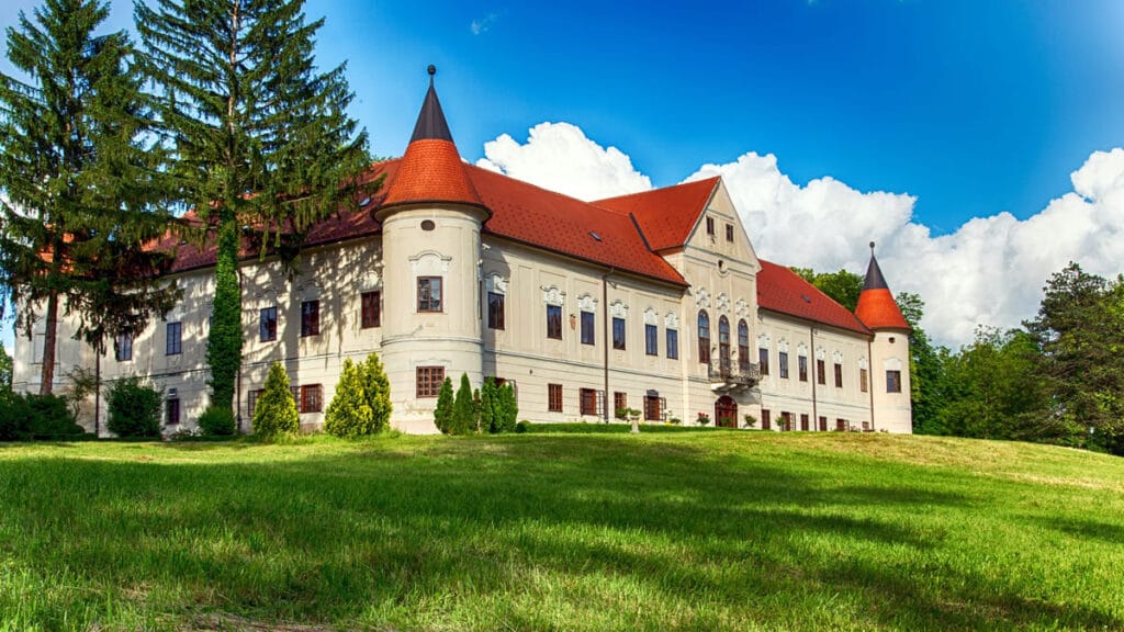 dvorac lužnica zaprešić / 2020
