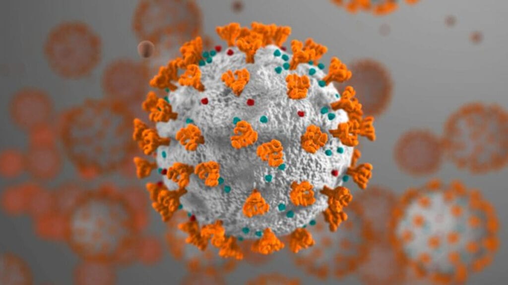 koronavirus | sars-cov-2 | 2021.