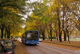 jesen u zagrebu / travno, ulica božidara magovca / zet bus linija 221 / listopad 2016.