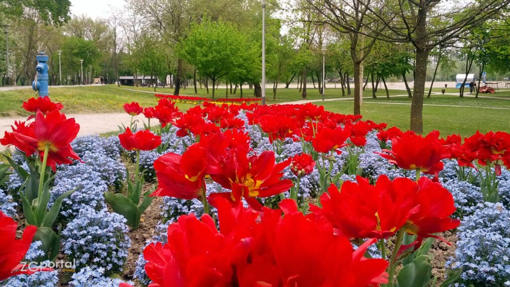 floraart 2021 | bundek zagreb
