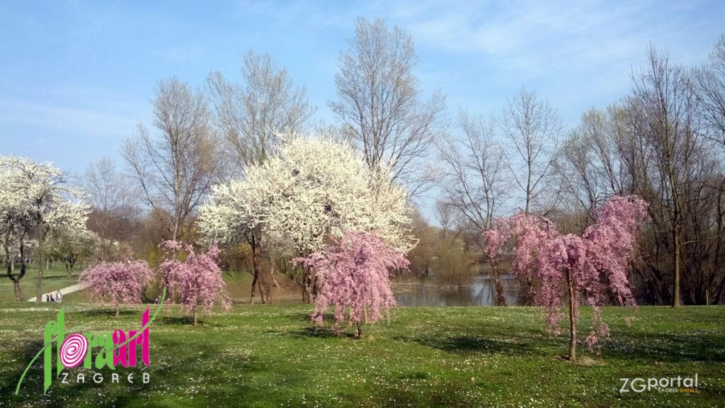 sajam cvijeća floraart | park-jezero bundek, zagreb | 2016.