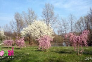 sajam cvijeća floraart | park-jezero bundek, zagreb | 2016.