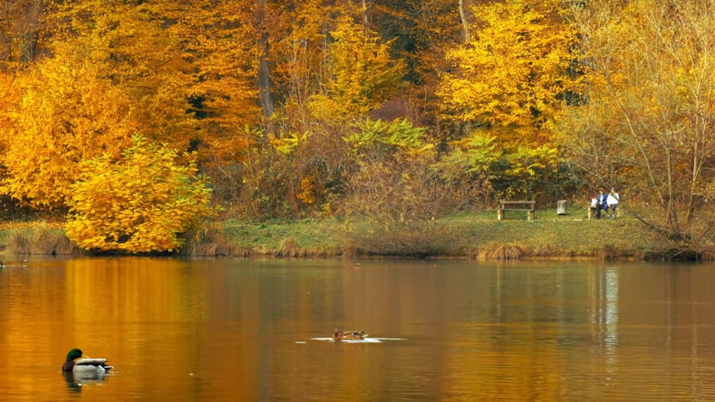 jesenska čarolija u parku maksimir | park šuma maksimir zagreb | 2021.