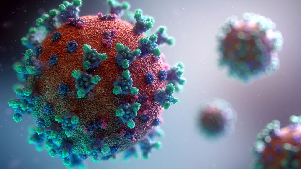 koronavirus | covid 19 | sars-cov-2 | 2022.