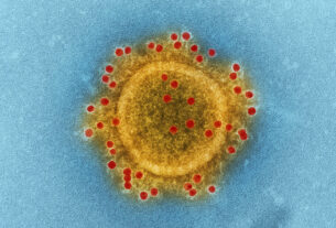 koronavirus I coronavirus I sars-cov-2 I 2022.