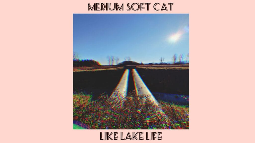 medium soft cat - like lake life | 2022.