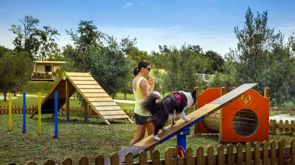 pet friendly | aminess - prijatelj kućnih ljubimaca | 2022.