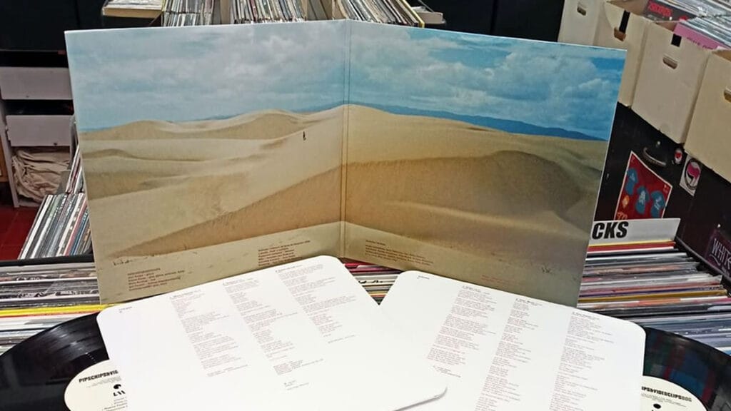 pips, chips & videoclips - bog | dvostruki vinil | 2022.