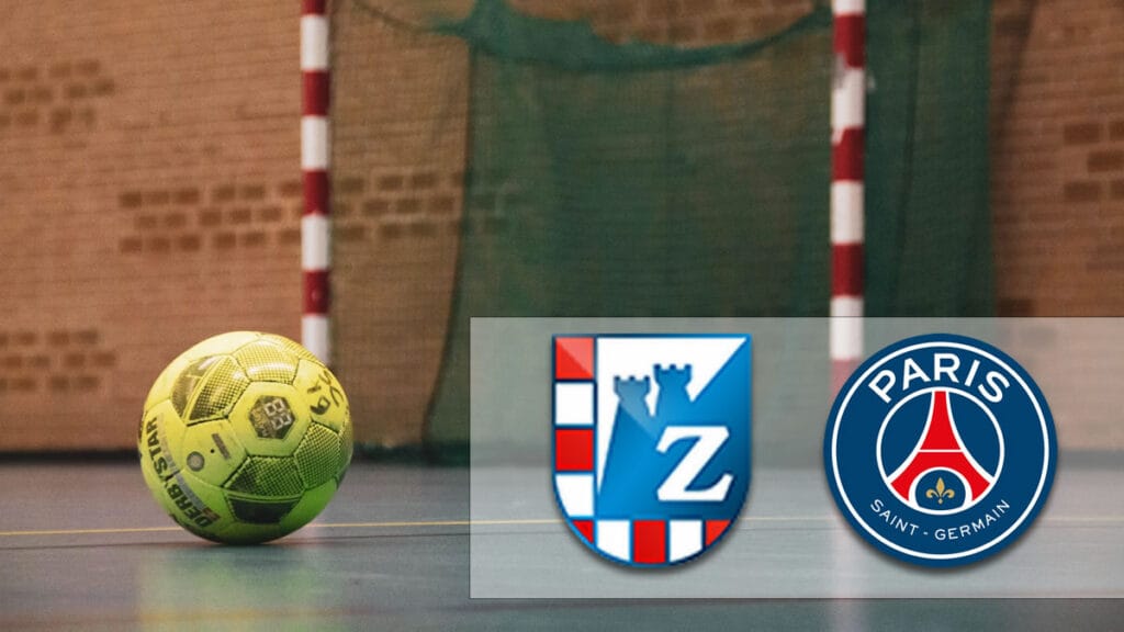 ppd zagreb - psg pariz | ehf liga prvaka